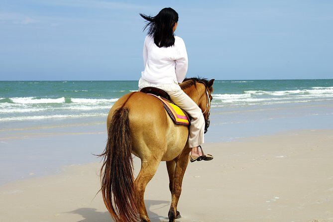 Horse Riding on the Beach in Side - Why This 2-Hour Horse Ride in Side Feels Like Good Value