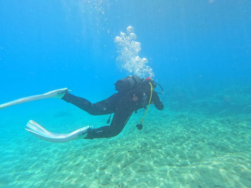 Kas: Scuba Diving Experience - What you’ll see: fish, octopus, rays, eels, turtles, and more