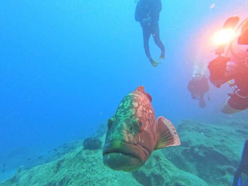 Kas: Scuba Diving Experience - Price and value: is $100 a fair deal?