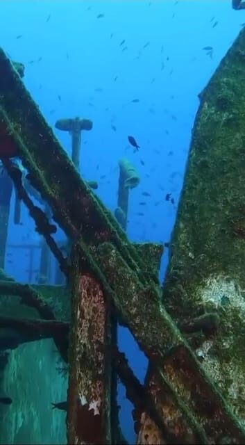 Kemer: Scuba Diving Experience in Aquarium and Kiris Bays - Boat time, snorkeling, and lunch: the part beginners don’t plan for
