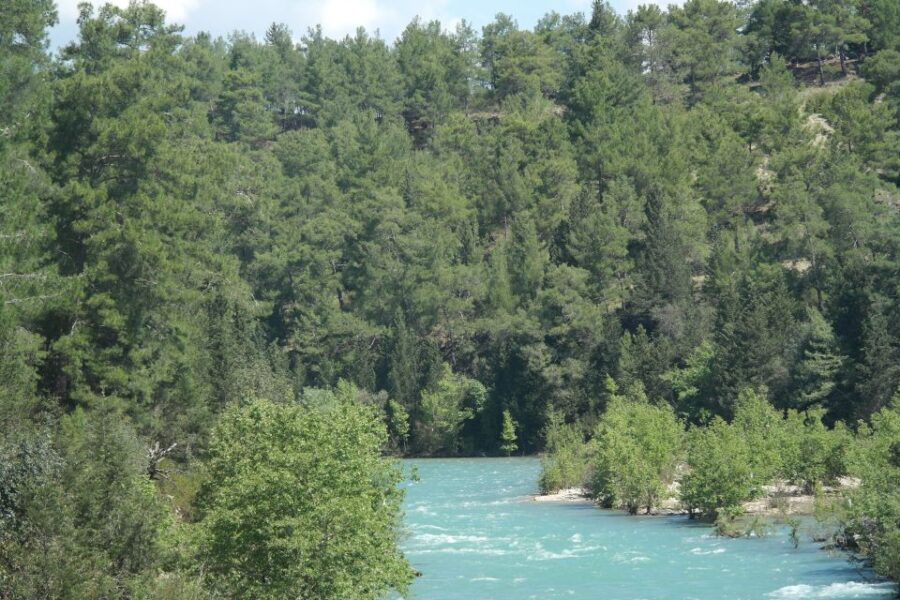 Koprulu Canyon: River Kayaking Experience with Lunch - Price and Value: What $20 Really Buys You