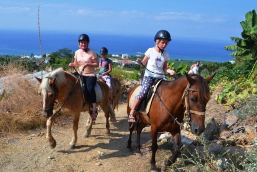 Luxury Harem Maldives Alanya All Inclusive Boat Adventure - Price and Value: Is $57 per Person a Good Deal?
