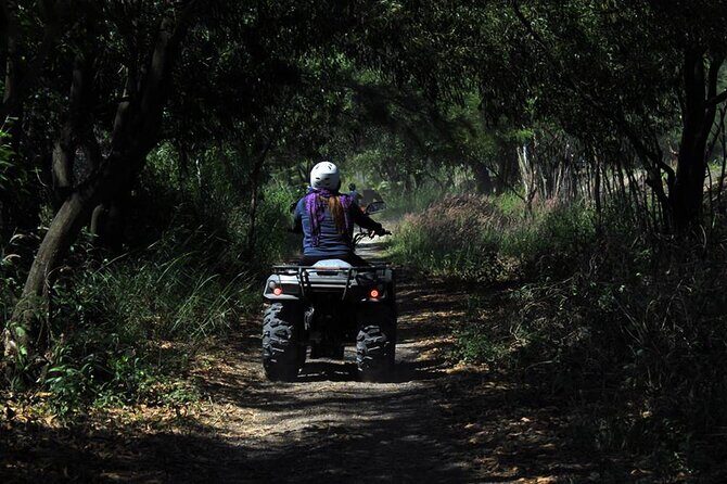 Quad Biking in Belek Forests & Taurus Mountains - Your ride through Belek forests and Taurus Mountains