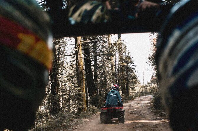 Quad Biking in Belek Forests & Taurus Mountains - Short nature stops: why they’re worth it