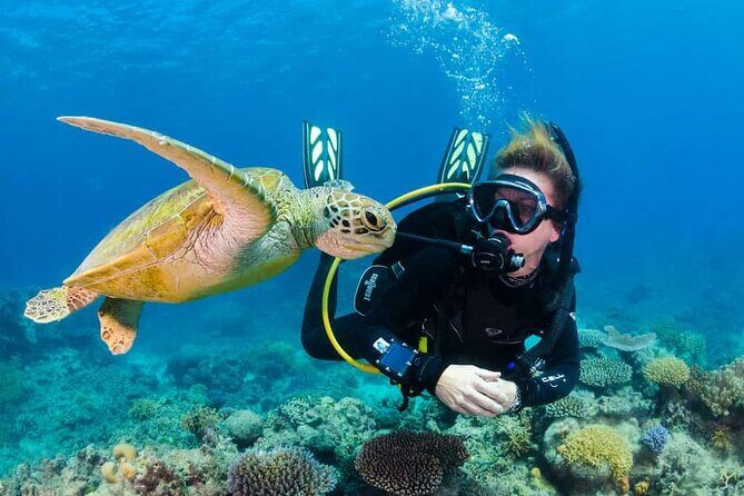 Scuba Diving Tour in Kemer with Lunch and Transfer - Key Things to Know Before You Go