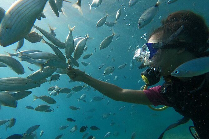 Scuba Diving Tour With Lunch in Alanya - Equipment + safety briefing: what’s covered and what you should bring