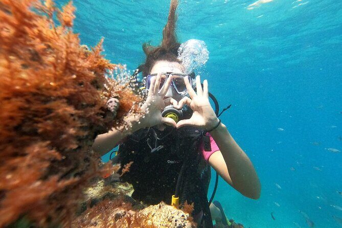 Scuba Diving Tour With Lunch in Alanya - Who this Alanya water tour is best for (and who should think twice)