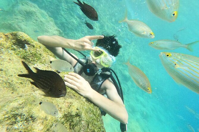 Scuba Diving Tour With Lunch in Alanya - Getting geared up: wetsuit, mask, snorkel, fins, and tanks