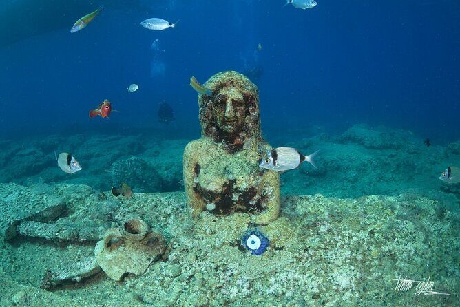 Scuba Diving Under Water Museum - First underwater museum session: what your time in the water is really like