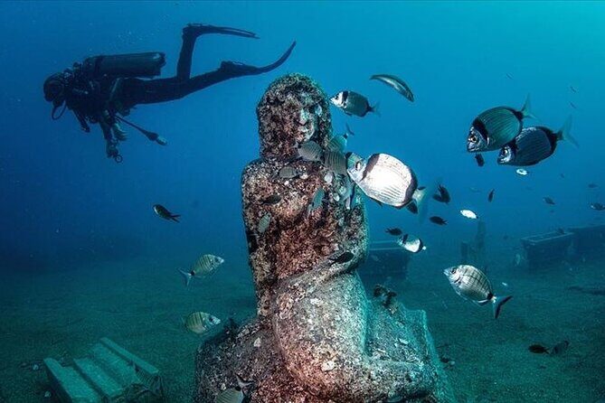 Scuba Diving Under Water Museum - Practical tips so your day stays smooth