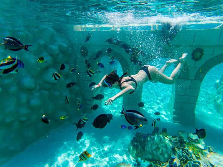 Seapark: Swimming in Pool Aquarium with Authentic Creatures - Key things to know before you go