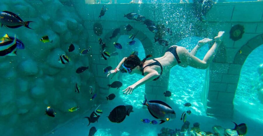 Seapark: Swimming in Pool Aquarium with Authentic Creatures - Fresh-water lazy river and the kid-friendly breaks