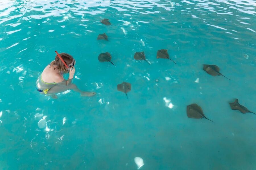 Seapark: Swimming in Pool Aquarium with Authentic Creatures - Atlantis underwater city: the themed snorkeling zone