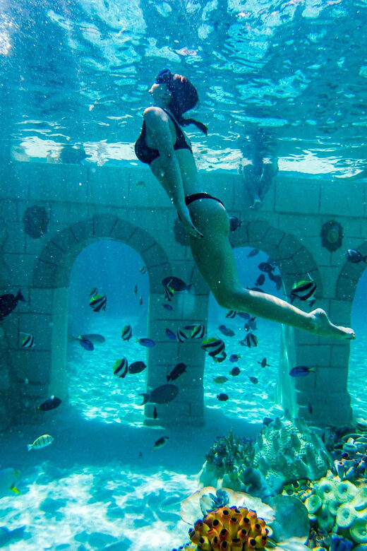 Seapark: Swimming in Pool Aquarium with Authentic Creatures - Shark pool option: cage snorkeling for the brave