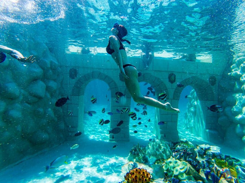 Seapark: Swimming in Pool Aquarium with Authentic Creatures - Getting there from Side or Alanya (and why the timing matters)