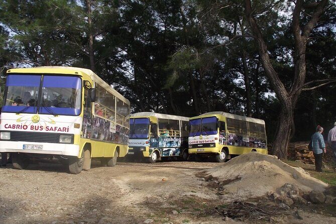 Side Cabrio Bus Tour With Green Lake And Manavgat Waterfall - From Side to Manavgat: how the day really flows