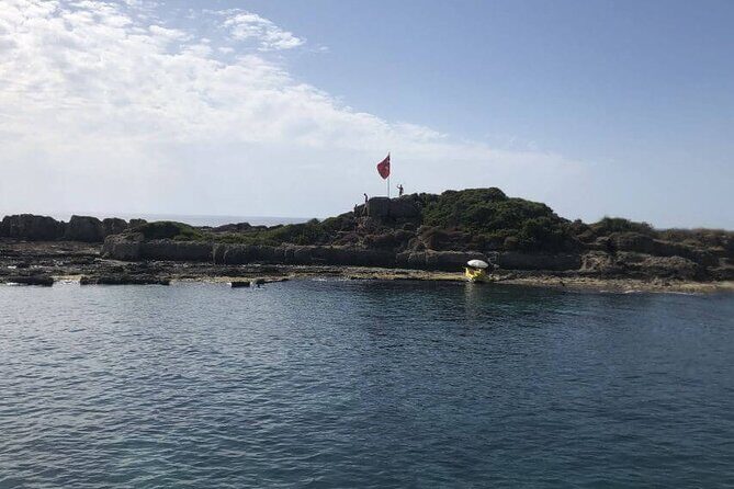 Side: Dolphin Island Boat Tour with Foam Party and Lunch - Quick Hits You’ll Care About