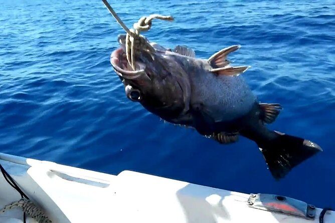 "Side Half-Day Fishing Adventure: Transfer Included!" - On the Boat: Gear, Bait, and How the Fishing Works