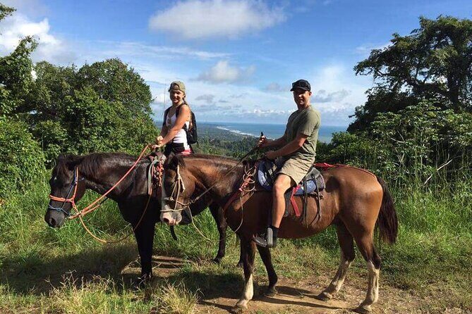 Side Horse Riding On Beach And Through The Forests For 2 Hours - Hotel pickup in Side: why the meeting point matters