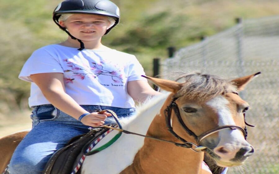 Side: Horse Safari Tour - Key highlights worth getting excited about