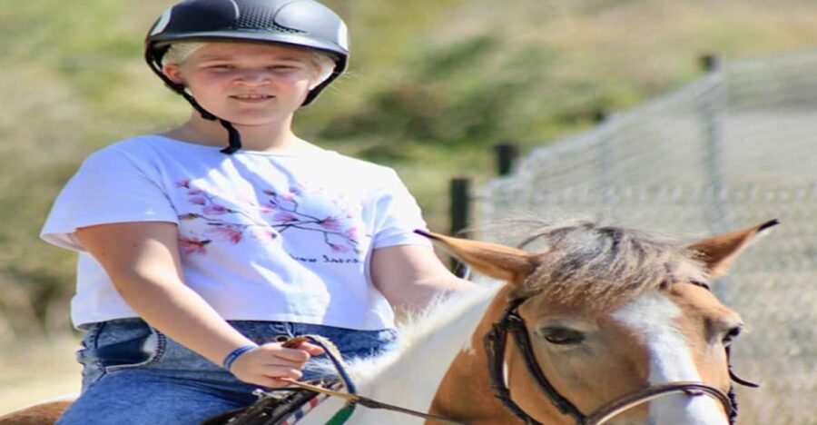 Side: Horse Safari Tour - Side Horse Safari: why this 1-hour ride is a smart value