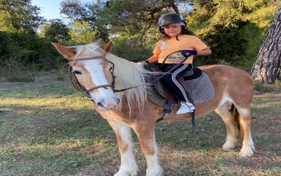 Side: Horse Safari Tour - The horses: calm handling and seeing more than just the mount