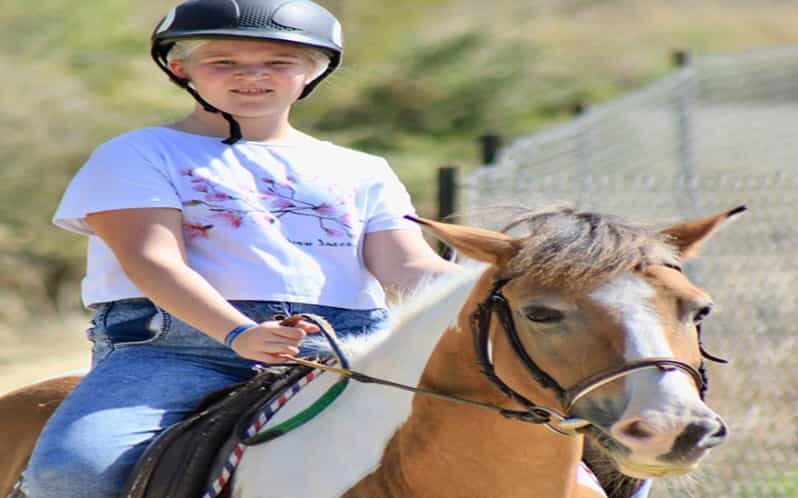 Side: Horse Safari Tour - Getting started: pickup in Side and what to watch for