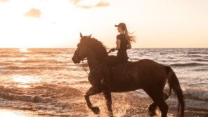Side: Horseback Riding Tour in Nature - Pickup Around Side: How the Transfer Makes This Worth Your Time