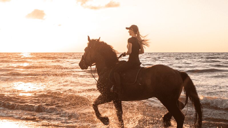 Side: Horseback Riding Tour in Nature - Pickup Around Side: How the Transfer Makes This Worth Your Time