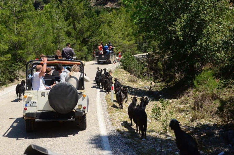Side: Jeep Safari Tour with Lunch and Green Canyon See - Green Lake at Oymapınar: lunch plus crystal water (swim is optional)