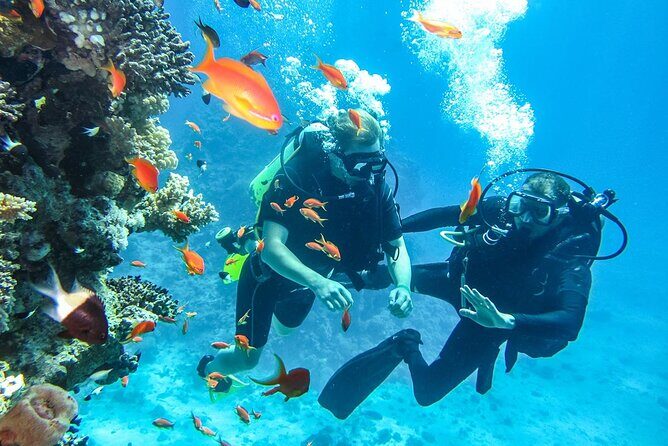 "Side: Scuba Diving in the Fascinating Underwater Museum" - Practical Tips for a Great Underwater Museum Day